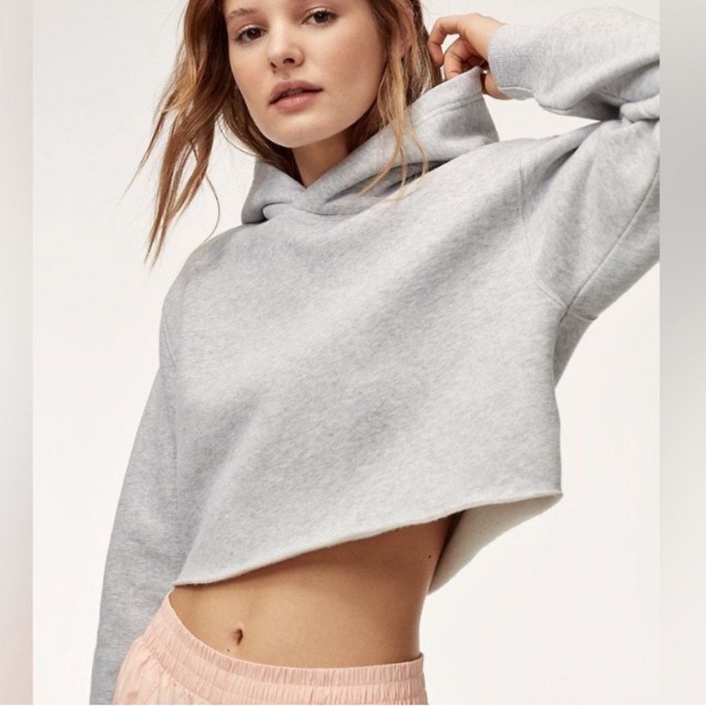 TNA Aritzia cropped perfect hoodie